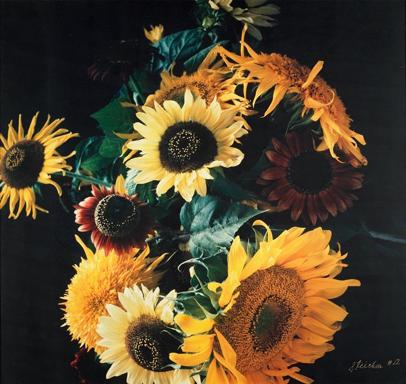 Untitled, Edward Steichen, 20th century