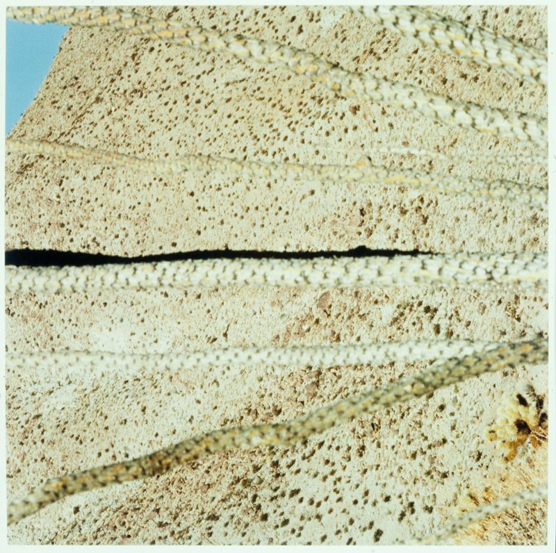 Untitled, Terry Husebye, 1979