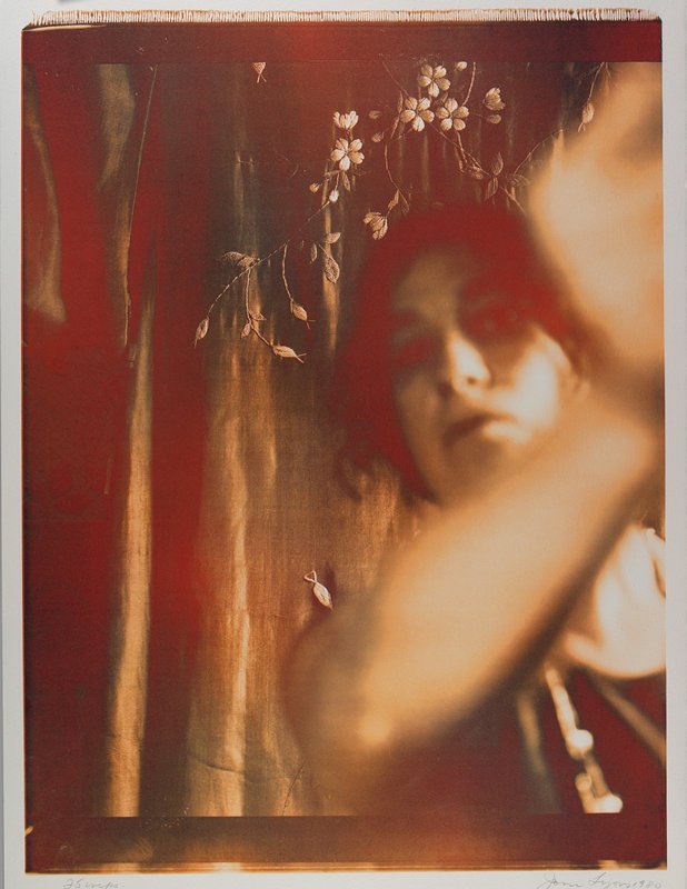 Untitled, Joan Lyons, 1980