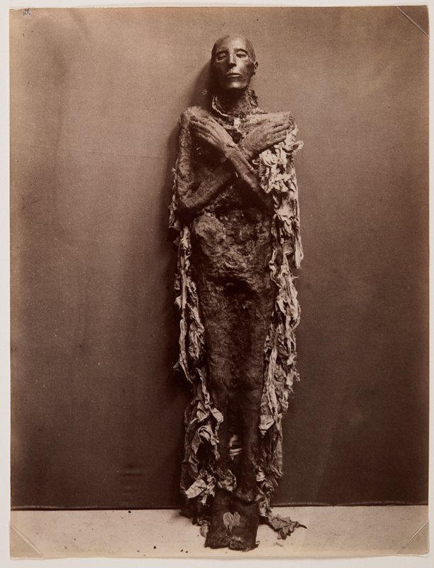 Mommie de Seti I (Pere de Ramsés II) au Musée de Boulac, Pascal Sebah, 19th century