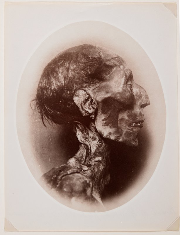 Mommie de Ramsés II (Fils du Seti I) au Musée, Pascal Sebah, 19th century