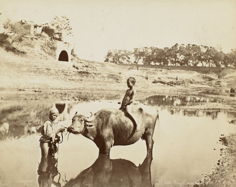 Untitled [Egypt], Zangaki, 19th century