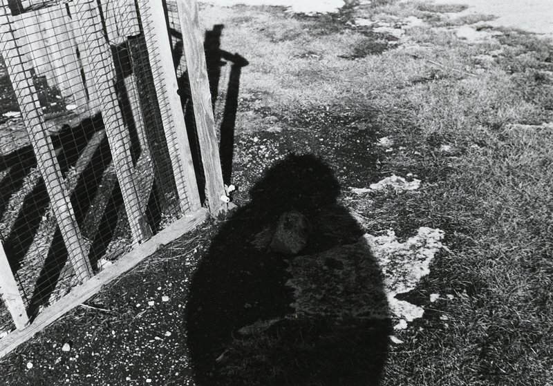 Untitled, Randy Hodson, 1977