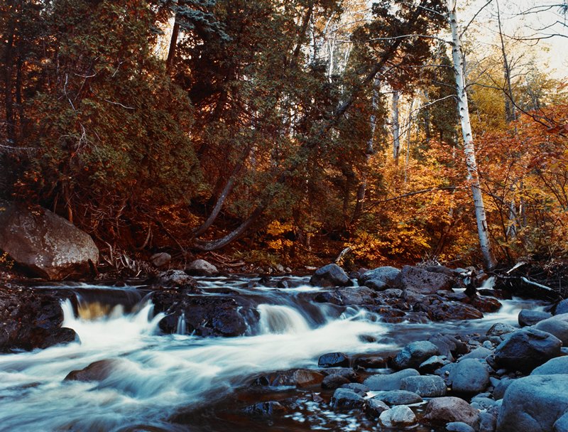 Untitled [stream in autumn], George Upham, 1961–82