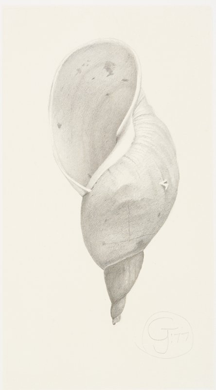 Shell, Gendron Jensen, 1977