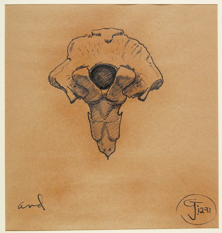 And, Gendron Jensen, 1971