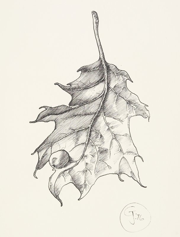 Leaf, Gendron Jensen, 1976