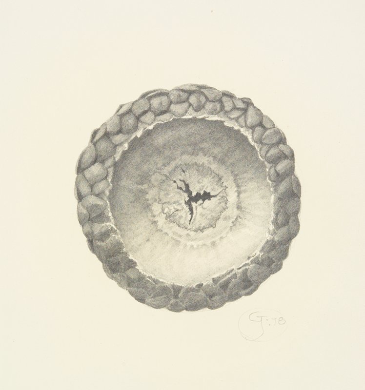 Acorn Cap, Gendron Jensen, 1978