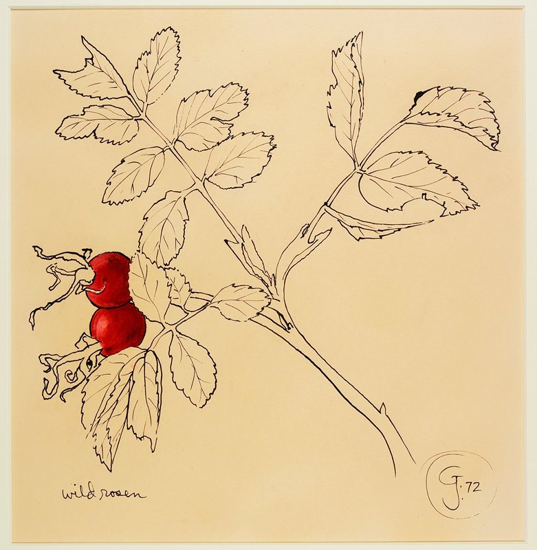 Wild Roses, Gendron Jensen, 1972