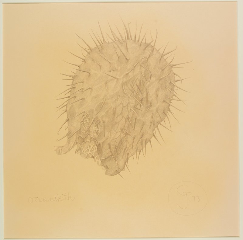 Oceankith, Gendron Jensen, 1973