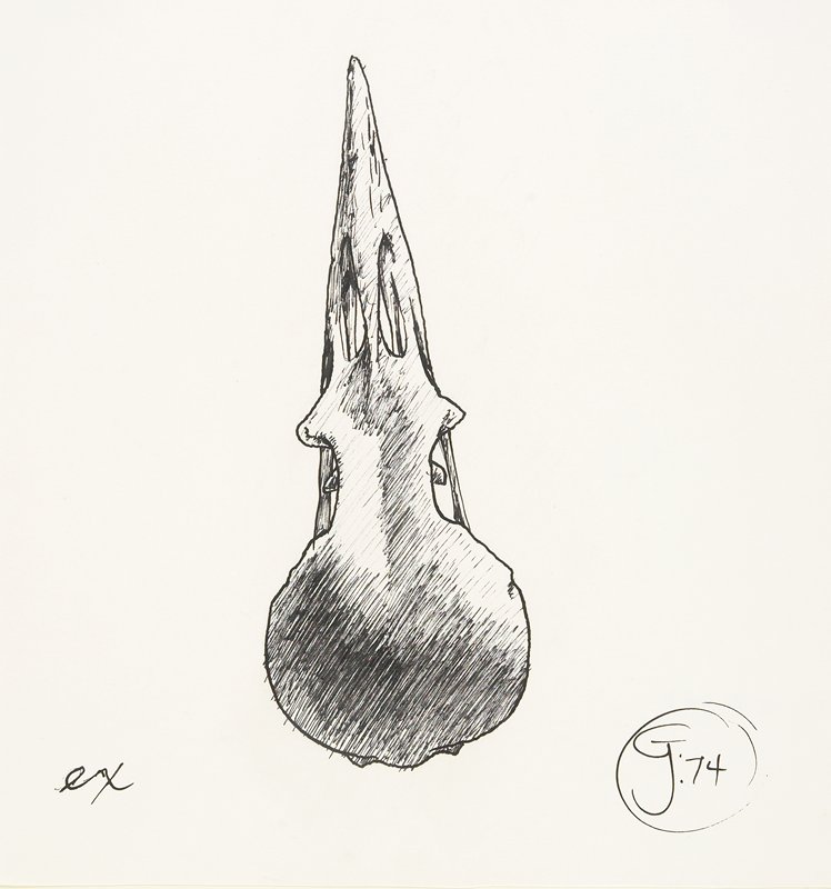 Ex, Gendron Jensen, 1974