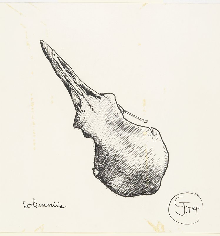 Solemniis, Gendron Jensen, 1974