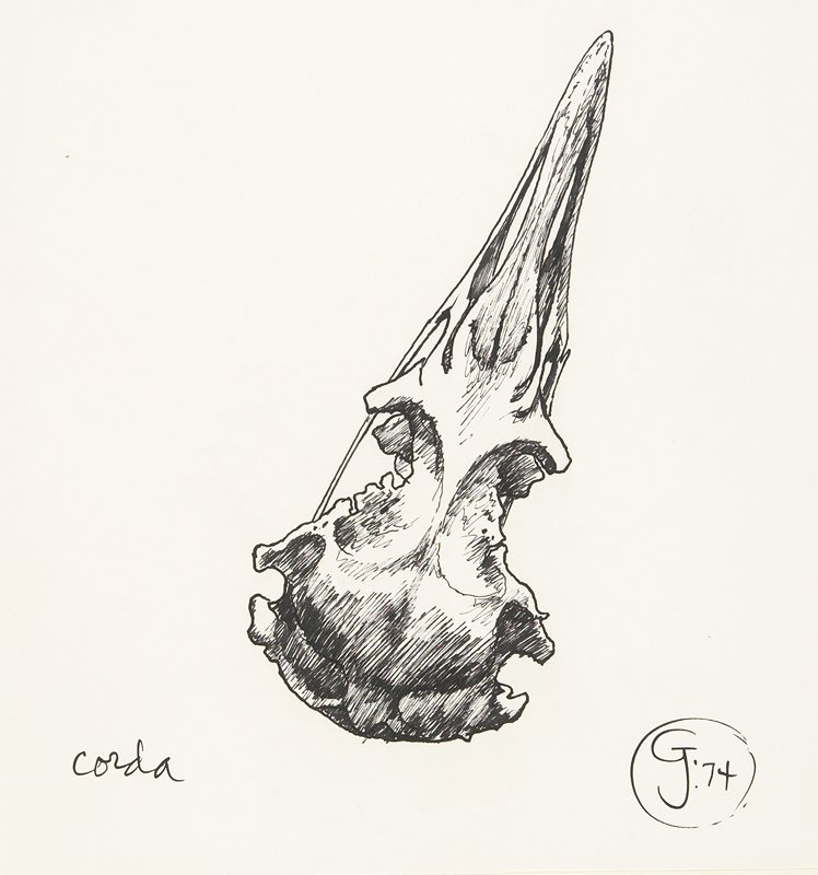 Corda, Gendron Jensen, 1974