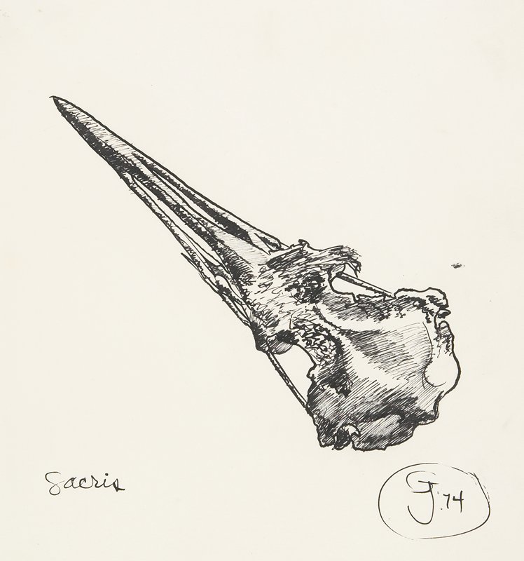 Sacris, Gendron Jensen, 1974