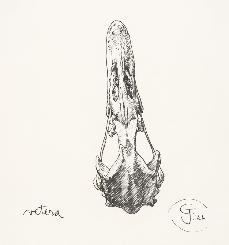 Vetera, Gendron Jensen, 1974