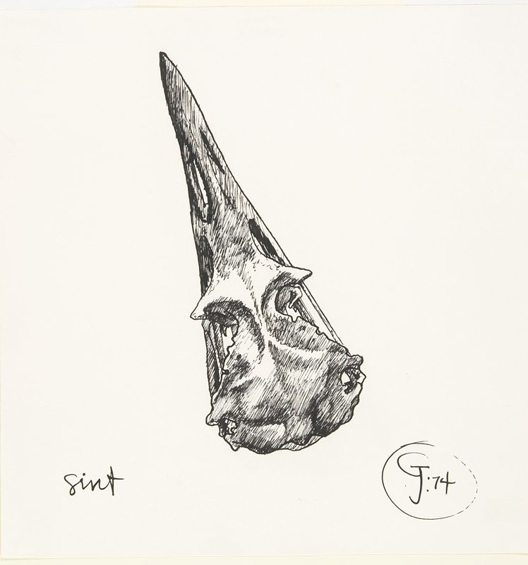 Sint, Gendron Jensen, 1974