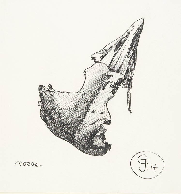 Voces, Gendron Jensen, 1974