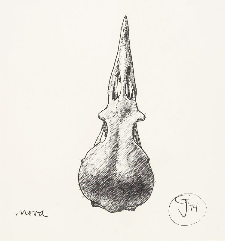 Nova, Gendron Jensen, 1974