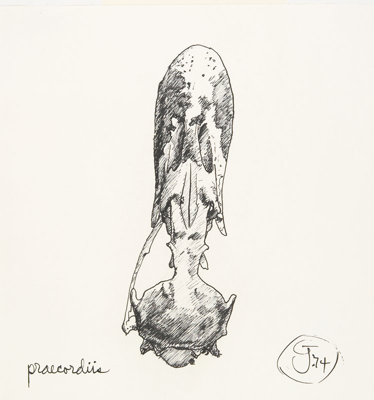 Praecordiis, Gendron Jensen, 1974