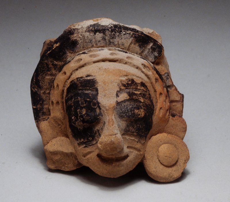 Fragment of a head