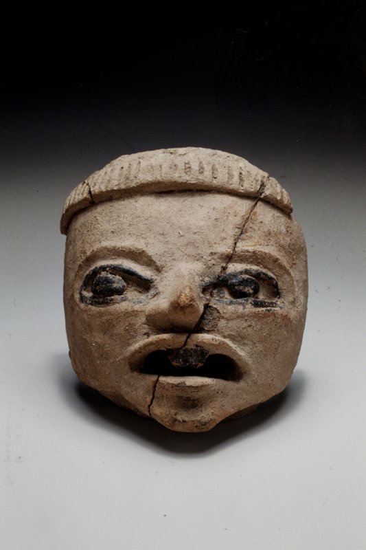 Head