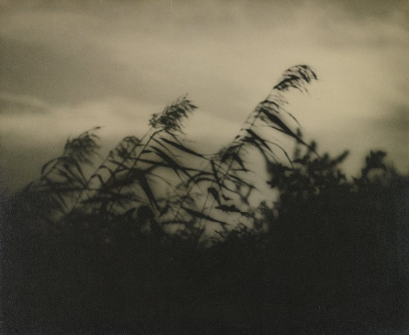 East Wind, George V. Thomson, c. 1934