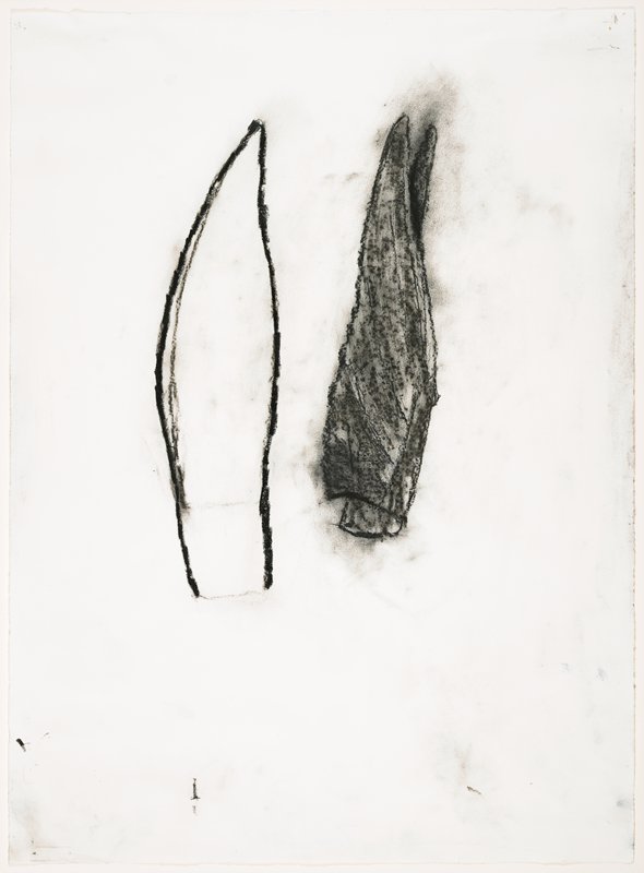 Botanical Subjects, Terry Winters, 1981