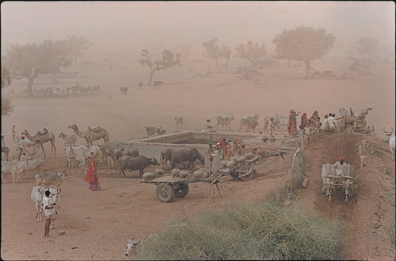Village Well in Dusty Winds, Jodhpur District, India, Raghubir Singh, c. 1980