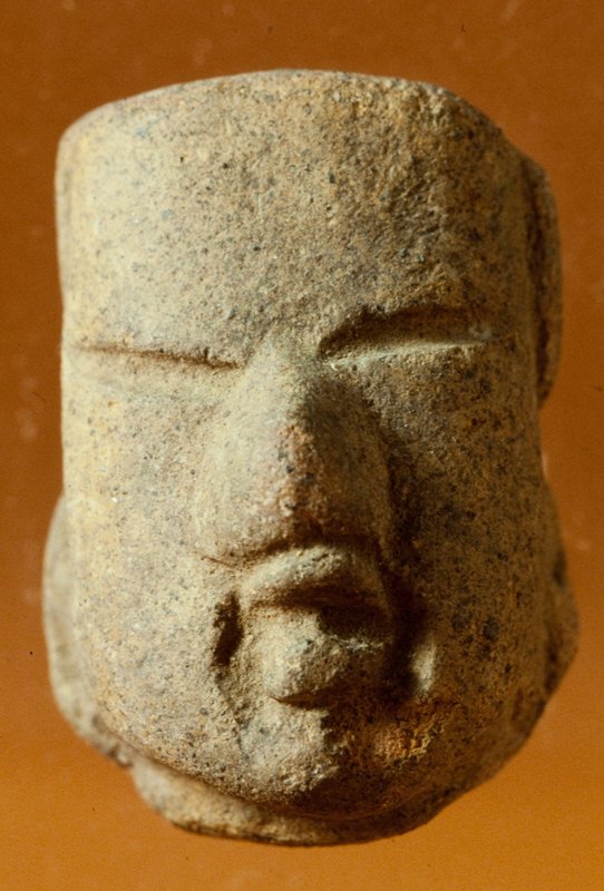 Head