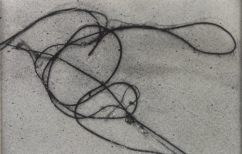 Martha's Vineyard, Aaron Siskind, 1948