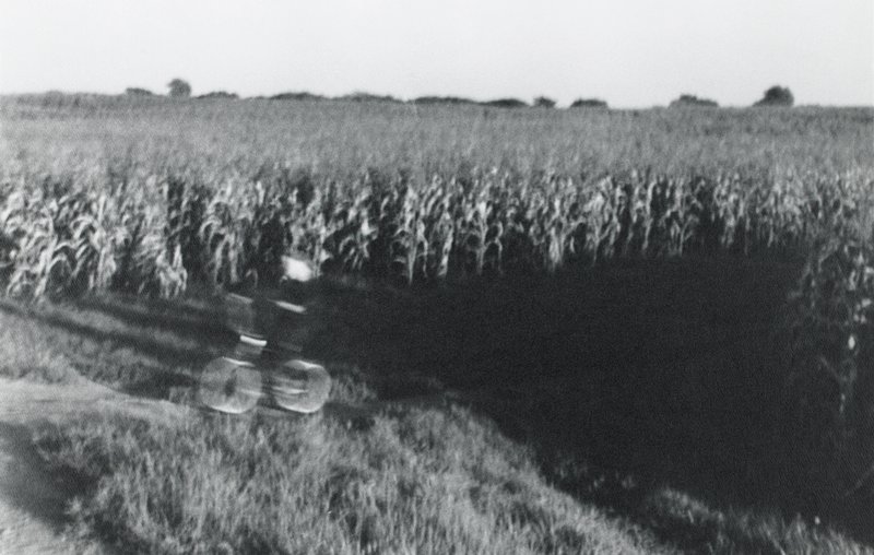 Corn Field, John Vong, c. 1974