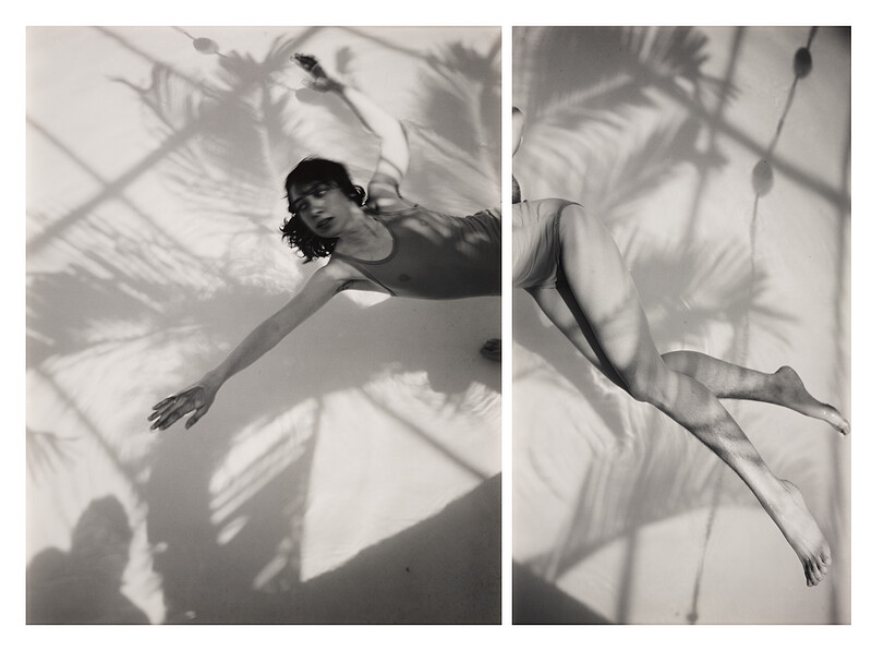 Без названия (Swimmer), JoAnn Verburg, 1983–84