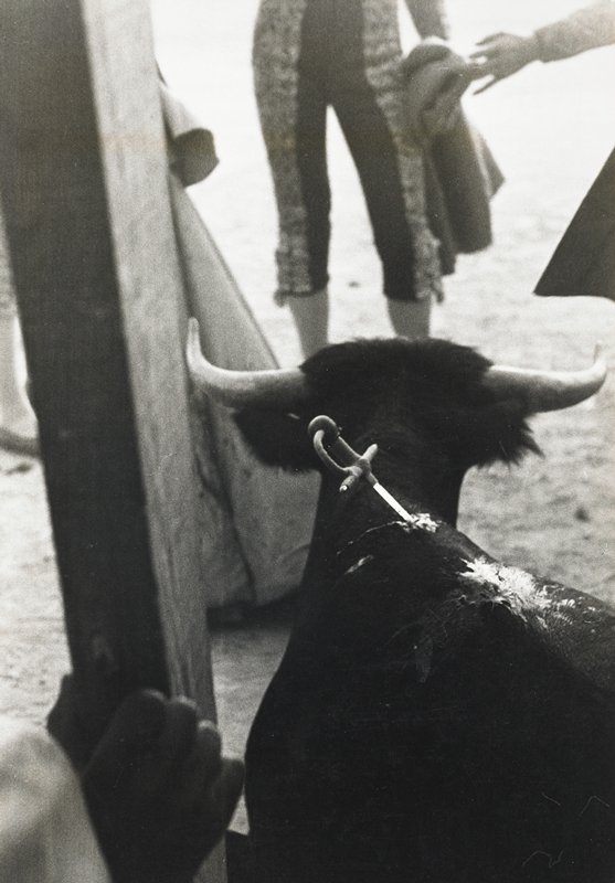 Valencia (Bullfight), Robert Frank, 1950