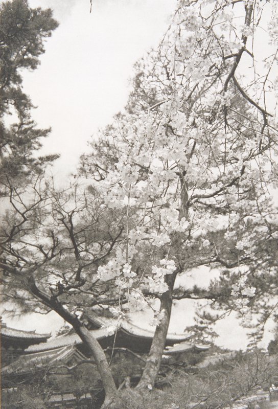 Nara, Lee Friedlander, 1979