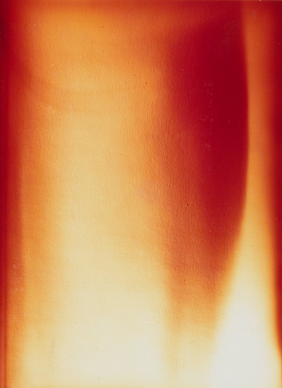 Darkroom Digression, Rosalee Vogel, 20th century