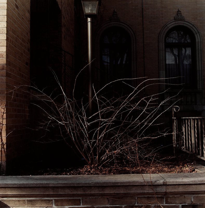 Minneapolis, Lawrence J. Merrill, 1979