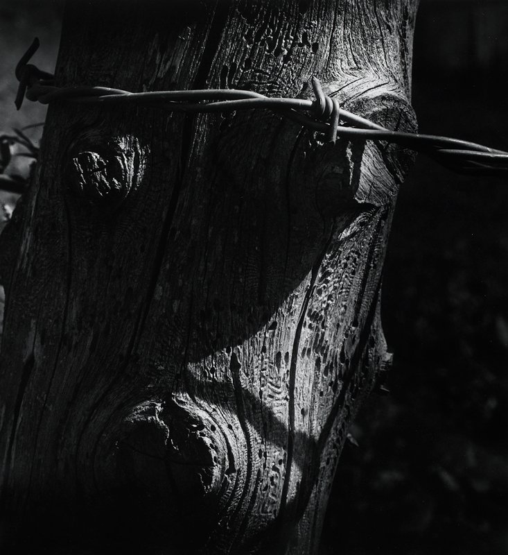 Minnesota, Rosalee Vogel, 1968