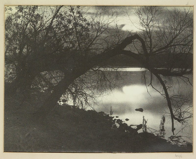The Bent Willow, Albert J. Leigh, c. 1932