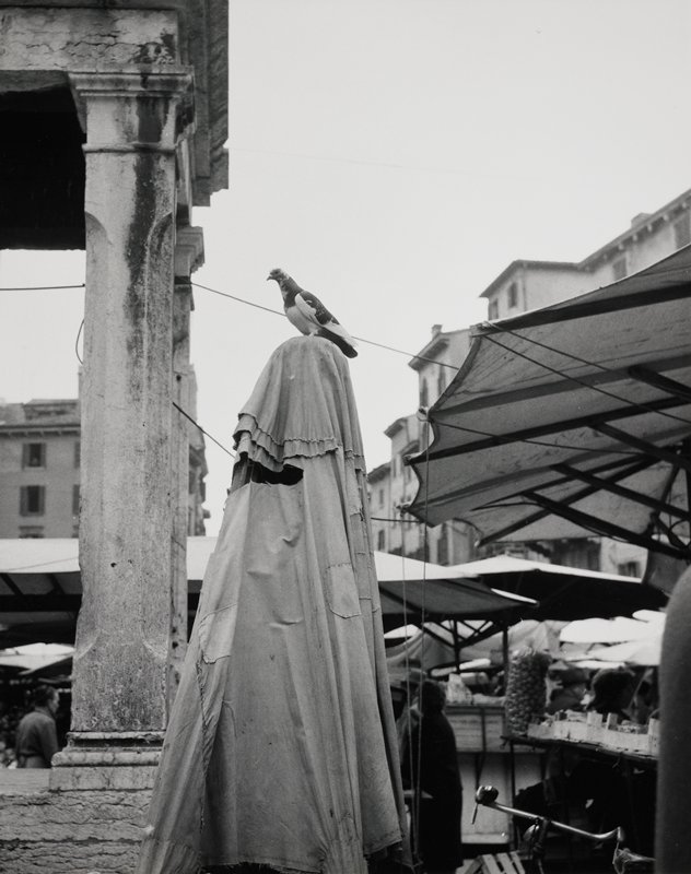 Untitled (pigeon outside marketplace), Robert Gene Wilcox, 20th century