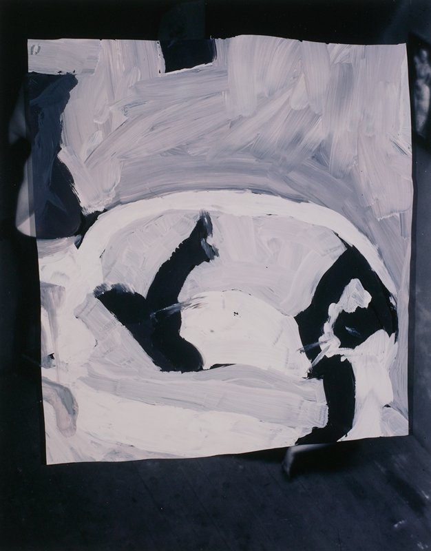 Satiric Negative, James Henkel, 1986