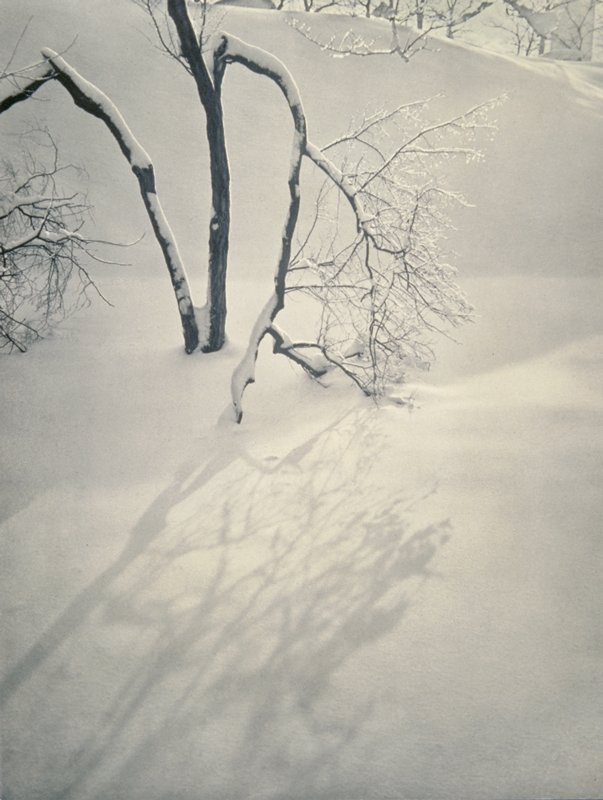 Its Last Radiance, Adolf Fassbender, 20th century
