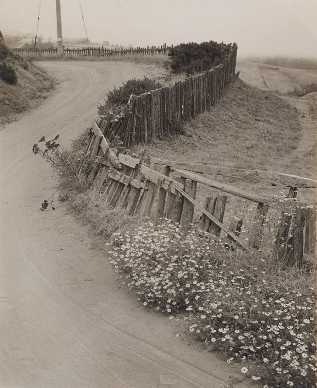 Daisy Trail, Adolf Fassbender, 1938