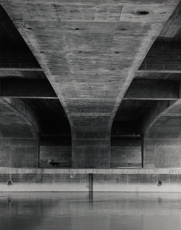 Untitled (dog trotting under bridge), Robert Gene Wilcox, 20th century