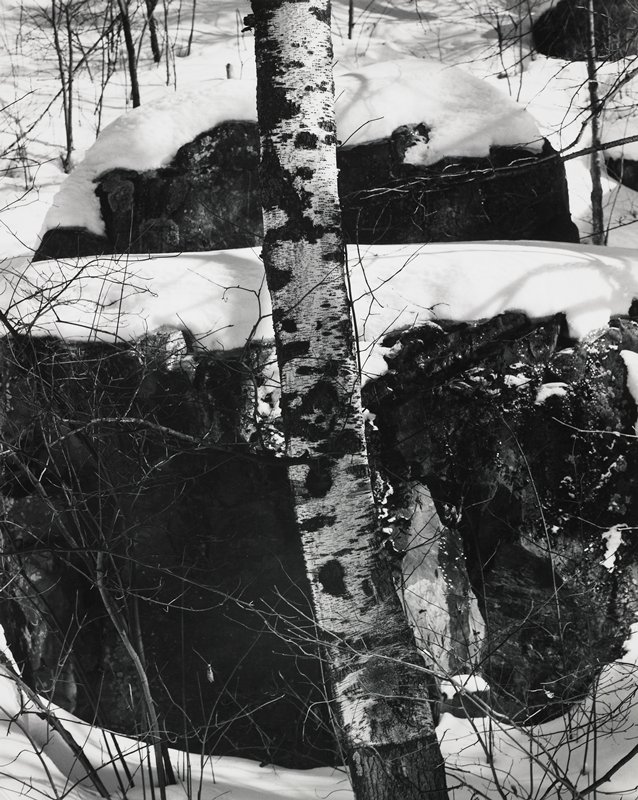Untitled (tree, rocks and snow), Robert Gene Wilcox, 20th century