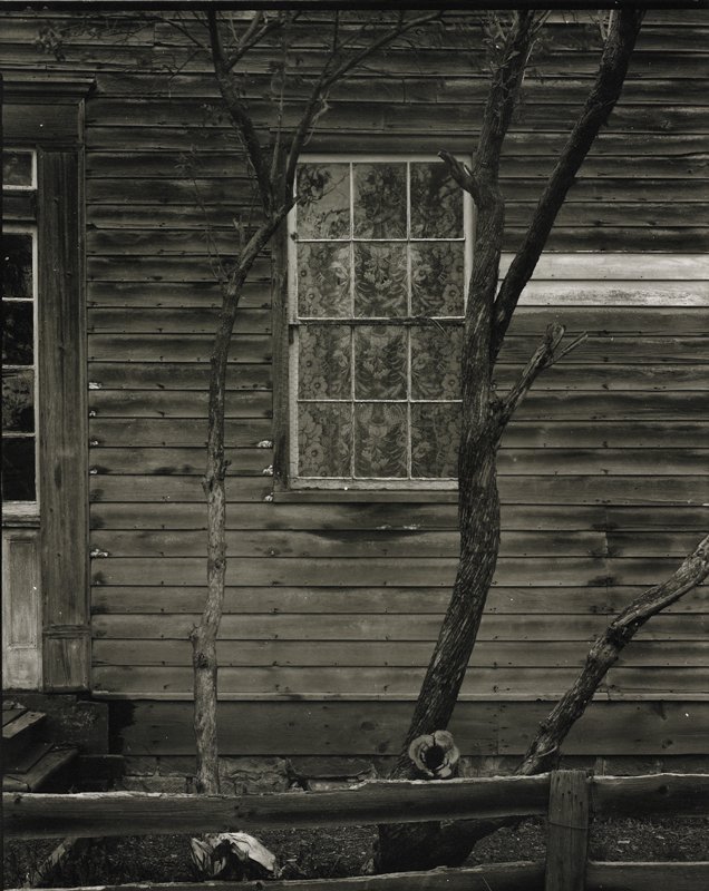 Untitled [window with floral patterned curtain], Robert Gene Wilcox, 20th century