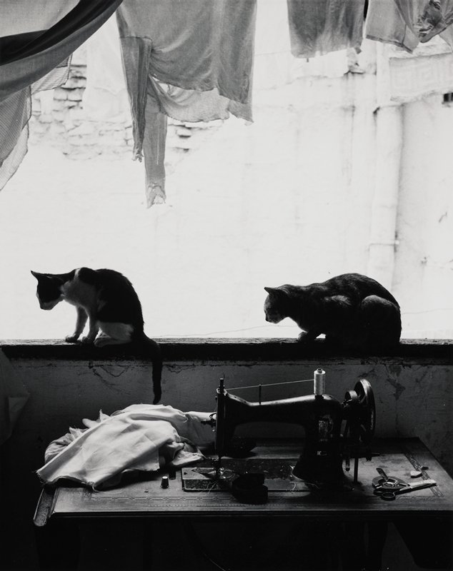 Untitled (2 cats sunning), Robert Gene Wilcox, 20th century