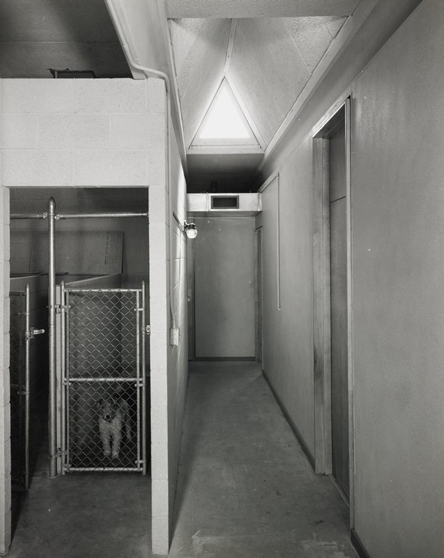 Untitled (dog pound), Robert Gene Wilcox, 20th century