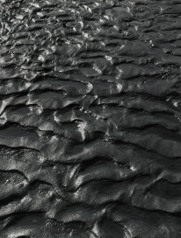 Untitled (mud), Robert Gene Wilcox, 1959