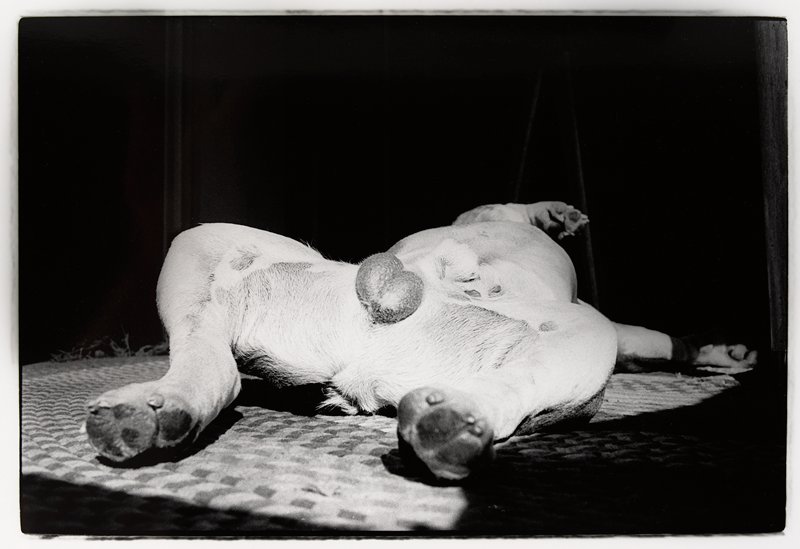 Valentine, Ramon J. Muxter, 1967