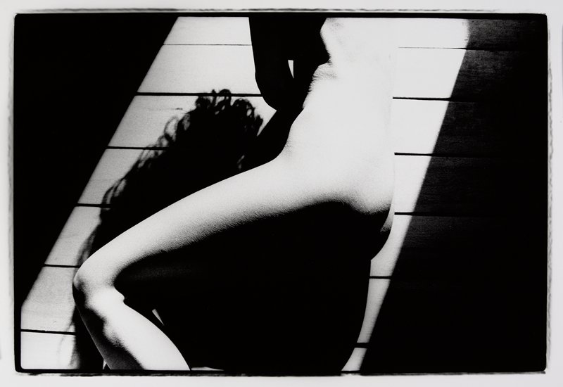 Nice Bush, Ramon J. Muxter, 1976